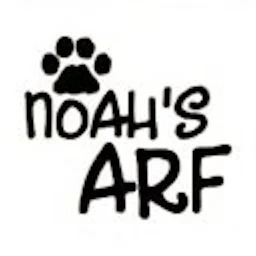 Ícone de Noah's Arf